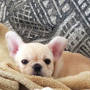 BUNDLE, BUNDLE, BUNDLE!!!